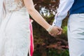 Bride and groom holding hands, close-up. Royalty Free Stock Photo
