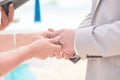 Bride and Groom Holding hands and exchanging rings Royalty Free Stock Photo