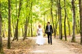 Bride and groom holding hands outdoors Royalty Free Stock Photo