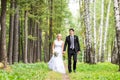 Bride and groom holding hands outdoors Royalty Free Stock Photo