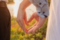Bride and groom holding hands in the shape of heart. Close-up Royalty Free Stock Photo