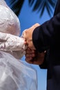 Bride and groom holding hands together on a sky background Royalty Free Stock Photo
