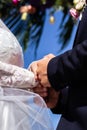 Bride and groom holding hands together on a sky background. Royalty Free Stock Photo