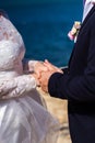 Bride and groom holding hands together on a sky background. Royalty Free Stock Photo