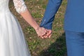 Bride and groom holding hands Royalty Free Stock Photo