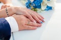 Bride and groom holding hands with wedding rings on it Royalty Free Stock Photo