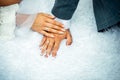 Bride and groom holding hands with woman`s hand on man`s hand with wedding rings, close up. Hands newlyweds in wedding day Royalty Free Stock Photo