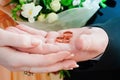 The bride and groom holding rings Royalty Free Stock Photo