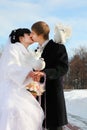 Bride and groom kiss and hold white dove at winter Royalty Free Stock Photo