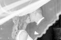 Bride and groom kisses tenderly in the shadow of a flying veil. Artistic black and white wedding photo. Royalty Free Stock Photo