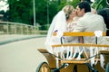 Bride and groom kissing in carriage Royalty Free Stock Photo