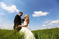 Bride and groom kissing on the fields Royalty Free Stock Photo