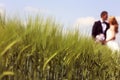 Bride and groom kissing on the fields Royalty Free Stock Photo