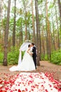 Bride and groom kissing near the wedding arch Royalty Free Stock Photo