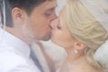 Bride and groom kissing under the veil Royalty Free Stock Photo
