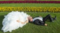 Bride and groom lying on lawn Royalty Free Stock Photo