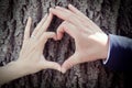The bride and groom are making a heart on a tree trunk Royalty Free Stock Photo
