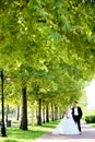 Bride and Groom in natural park Royalty Free Stock Photo