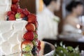 Bride and groom over a strawberry wedding cake Royalty Free Stock Photo