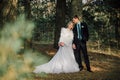 Bride and groom in a park kissing.couple newlyweds bride and groom at a wedding in nature green forest are kissing photo portrait.