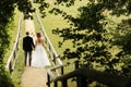 Bride and groom posing in nature Royalty Free Stock Photo
