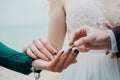 The bride and groom put on each other rings, a burgundy suit and a beige wedding dress, cloudy day, a ceremony by the sea, hands Royalty Free Stock Photo