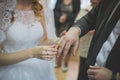 Bride and the groom putting rings on each others' fingers at their wedding ceremony Royalty Free Stock Photo