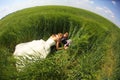 Bride and groom relaxing on the fields Royalty Free Stock Photo