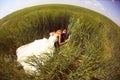 Bride and groom relaxing on the fields Royalty Free Stock Photo