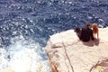 Bride and groom relaxing near water Royalty Free Stock Photo