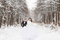 Bride and groom is running on a winter park Royalty Free Stock Photo