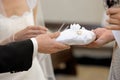 Bride and groom's hands holding wedding rings