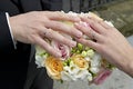 Bride and groom's hands with wedding bouquet Royalty Free Stock Photo