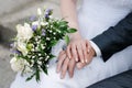 Bride and groom's hands with wedding rings Royalty Free Stock Photo