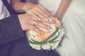 Bride and groom's hands with wedding rings and bouquet Royalty Free Stock Photo