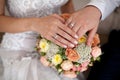 Bride and groom`s hands with wedding rings. Close-up Royalty Free Stock Photo