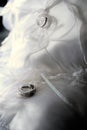 Bride & Groom`s Wedding ring Royalty Free Stock Photo