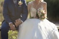Bride and groom shaking hands at outdoor ceremony. Isolated image