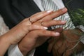 Bride and groom show their hands wearing wedding rings Royalty Free Stock Photo