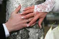 Bride and groom show their hands wearing wedding rings Royalty Free Stock Photo