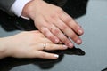 Bride and groom show their hands wearing wedding rings Royalty Free Stock Photo