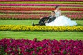 Bride and groom sitting on lawn with flowers