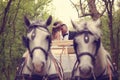 Bride and groom sitting in a white carriage Royalty Free Stock Photo