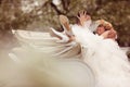 Bride and groom sitting in a white carriage Royalty Free Stock Photo