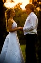 Bride and Groom at sunset Royalty Free Stock Photo