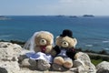 Bride and groom teddy bears on sea cliff