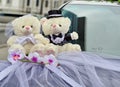 Bride and groom Teddy wedding bears attached to the car