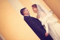 Bride and groom on their wedding day Royalty Free Stock Photo