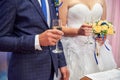 Bride and groom on their wedding day with glasses of champagne Royalty Free Stock Photo