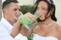 Bride and groom toast Royalty Free Stock Photo